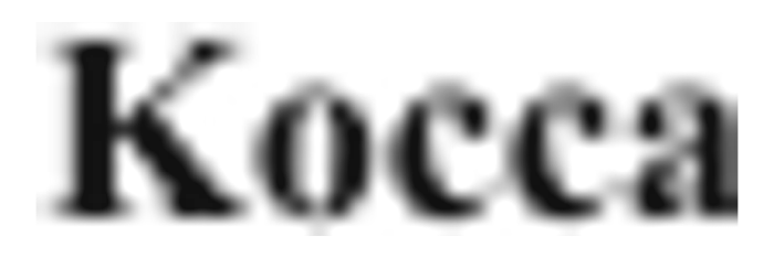 Kocca logo reference